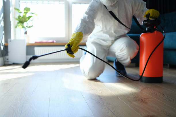 Reliable Odor Removal contractor in Hoschton, GA by Dulley Family Biohazard Services
